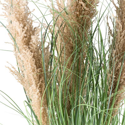 Kunstpflanze Natur-Schilfgras, Höhe ca. 75 cm