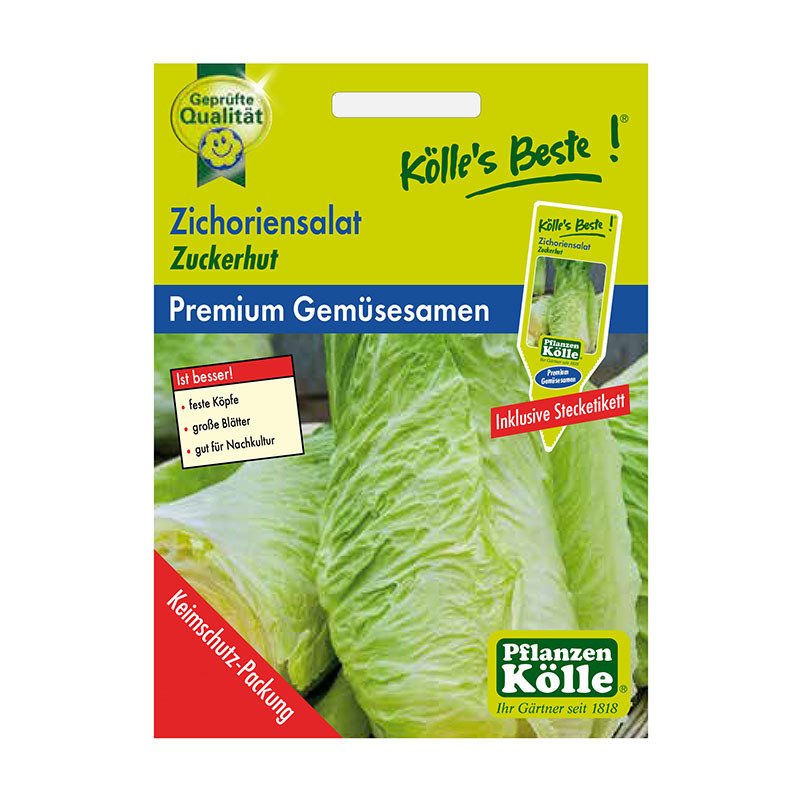 Kölle's Beste Gemüsesamen Zichoriensalat/Zuckerhut