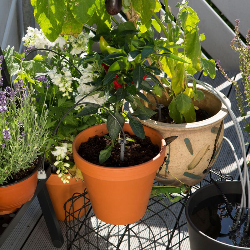 Urlaubsbewässerung CityGardening jetzt bei PflanzenKölle kaufen