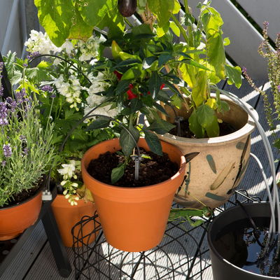 Gardena Urlaubsbewässerung City-Gardening, bis zu 36 Töpfe, Transformator, Zeitschaltuhr Gardena Urlaubsbewässerung City-Gardening, bis zu 36 Töpfe, Transformator, Zeitschaltuhr