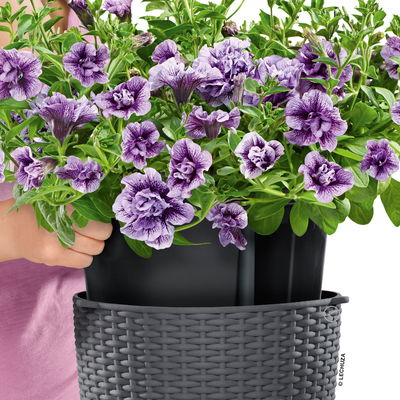 Lechuza 'Nido Cottage 28', granit, ca. Ø 27 x H 23 cm Lechuza 'Nido Cottage 28', granit, ca. Ø 27 x H 23 cm