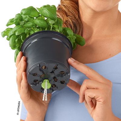 Lechuza 'Cube Color 14', weiß, ca. 14 x 14 x H 13,5 cm