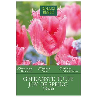 Tulpen 'Joy of Spring', zerfranst, 7 Blumenzwiebeln, Größe 11/12