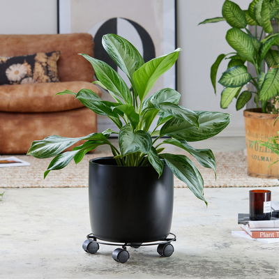 Wagner Multi-Roller 'GH0943', schwarz, ca. Ø 30 cm Wagner Multi-Roller 'GH0943', schwarz, ca. Ø 30 cm