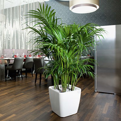 Lechuza 'Quadro LS 43', weiß, ca. 43 x 43 x H 40 cm Lechuza 'Quadro LS 43', weiß, ca. 43 x 43 x H 40 cm