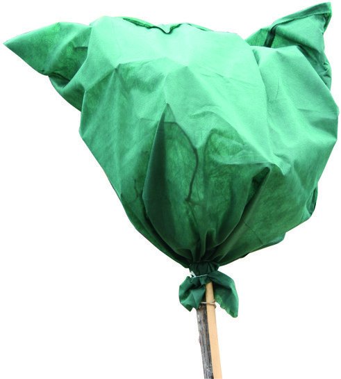 Kölle's Beste Rosenschutzhaube grün, 75 x 80 cm, 2 Stück