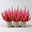 Besenheide SKYLINE®, rot gefärbt, Topf-Ø 11 cm, 3 Pflanzen Besenheide SKYLINE®, rot gefärbt, Topf-Ø 11 cm, 3 Pflanzen