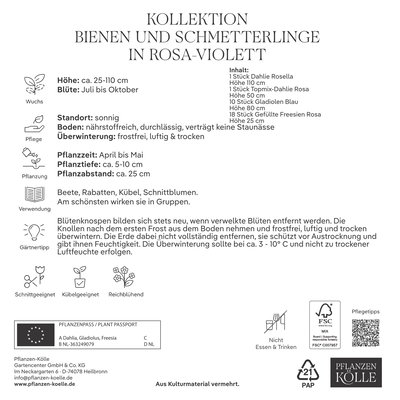 Kölles Kollektion Bienen & Schmetterlinge, rosa-violett, 30 Blumenknollen