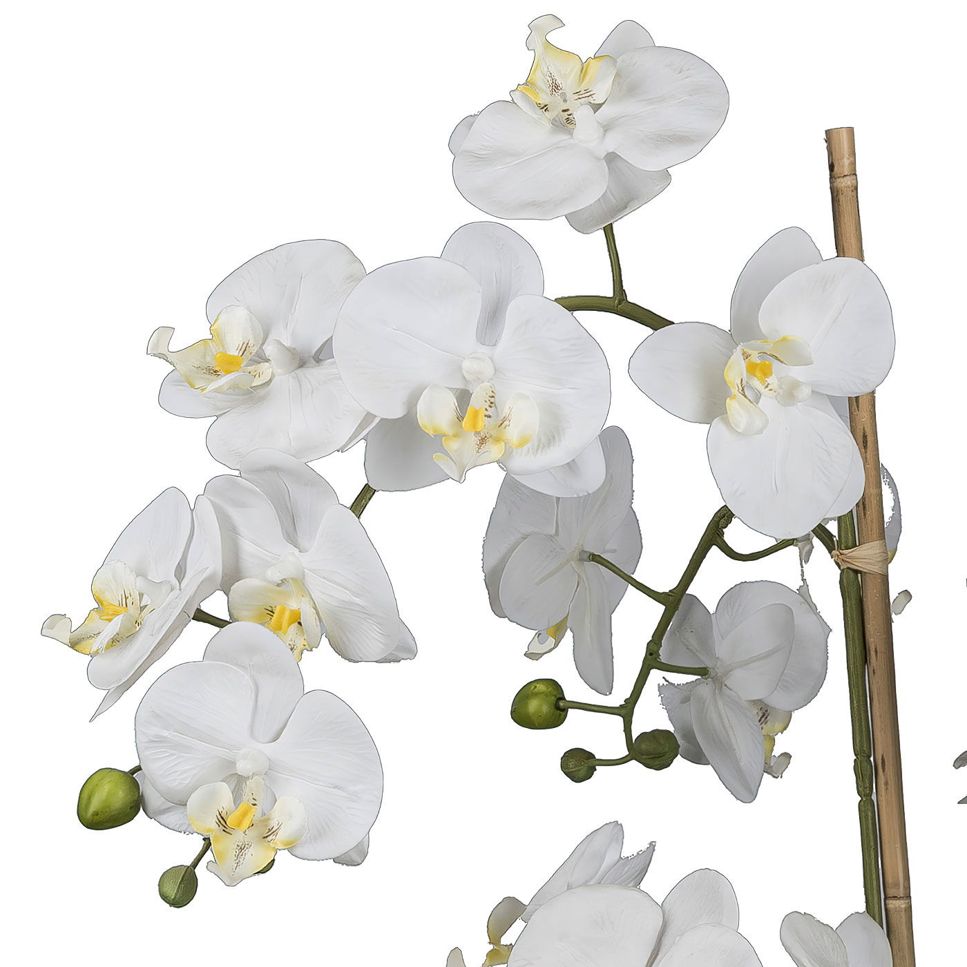 Kunstpflanze Phalaenopsis im Glas, Höhe ca. 50 cm