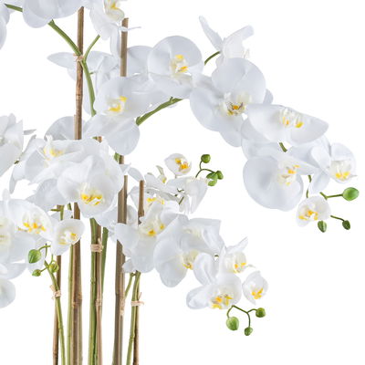 Kunstpflanze Phalaenopsis, weiß, Höhe ca. 90 cm Kunstpflanze Phalaenopsis, weiß, Höhe ca. 90 cm