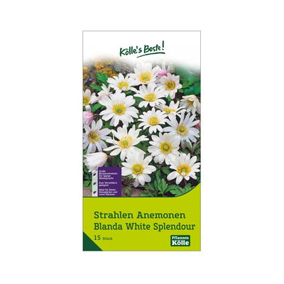 Strahlen-Anemonen Blanda 'Splendour', Größe 5+, 15 Blumenzwiebeln Strahlen-Anemonen Blanda 'Splendour', Größe 5+, 15 Blumenzwiebeln