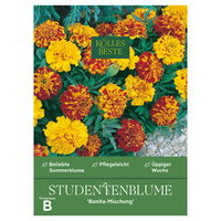 Kölles Beste Blumensamen, Studentenblume 'Bonita Mischung'