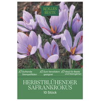 Safrankrokus flieder, 10 Blumenzwiebeln