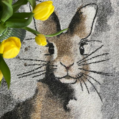 Kleen-Tex Fußmatte 'Hopps', ca. 75 x 50 cm Kleen-Tex Fußmatte 'Hopps', ca. 75 x 50 cm