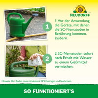 Neudorff Bestell-Set Nützlinge gegen Wiesenschnacken, 50 Mio Stück Neudorff Bestell-Set Nützlinge gegen Wiesenschnacken, 50 Mio Stück