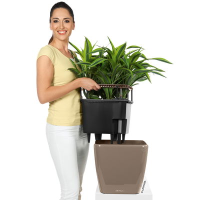 Lechuza 'Quadro LS 21', taupe, ca.21 x 21 x H 20 cm Lechuza 'Quadro LS 21', taupe, ca.21 x 21 x H 20 cm