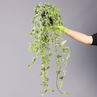 Weißbunter Efeu inkl. Keramiktopf Dallas anthrazit, Topf-Ø 12/13 cm, 3er-Set