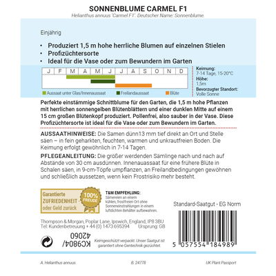 Thompson & Morgan Saatgut Sonnenblume 'Carmel', gelb