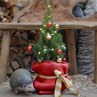 Kölle Jutesack, rot, ca. 60 x H80 cm Kölle Jutesack, rot, ca. 60 x H80 cm