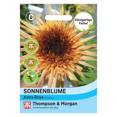 Thompson & Morgen Sonnenblume  Thompson & Morgen Sonnenblume