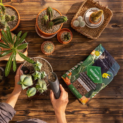 Lechuza Cactuspon, 6 Liter Lechuza Cactuspon, 6 Liter