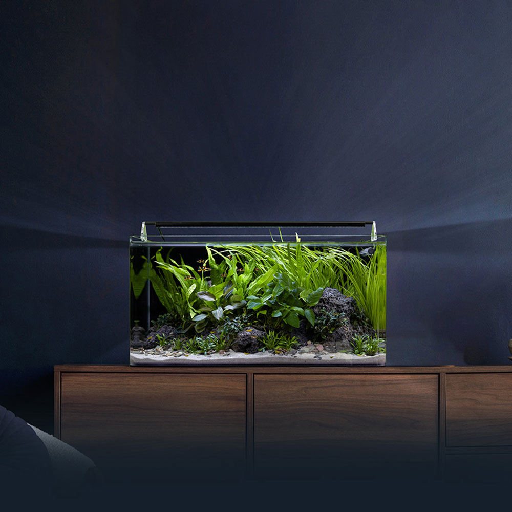 Aquaristik-Einsteiger-Workshop mit Fa. Dennerle Aquaristik-Einsteiger-Workshop mit Fa. Dennerle