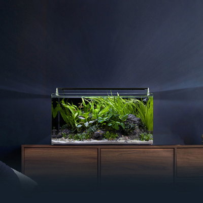Aquaristik-Einsteiger-Workshop mit Fa. Dennerle Aquaristik-Einsteiger-Workshop mit Fa. Dennerle
