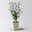 Garten-Hibiskus 'Marina', violettblau, 40 - 60cm hoch, Topf 5 l Garten-Hibiskus 'Marina', violettblau, 40 - 60cm hoch, Topf 5 l