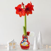 Amaryllis in Wachs, Dekor 'Strickmütze Schneemann, Blüte rot