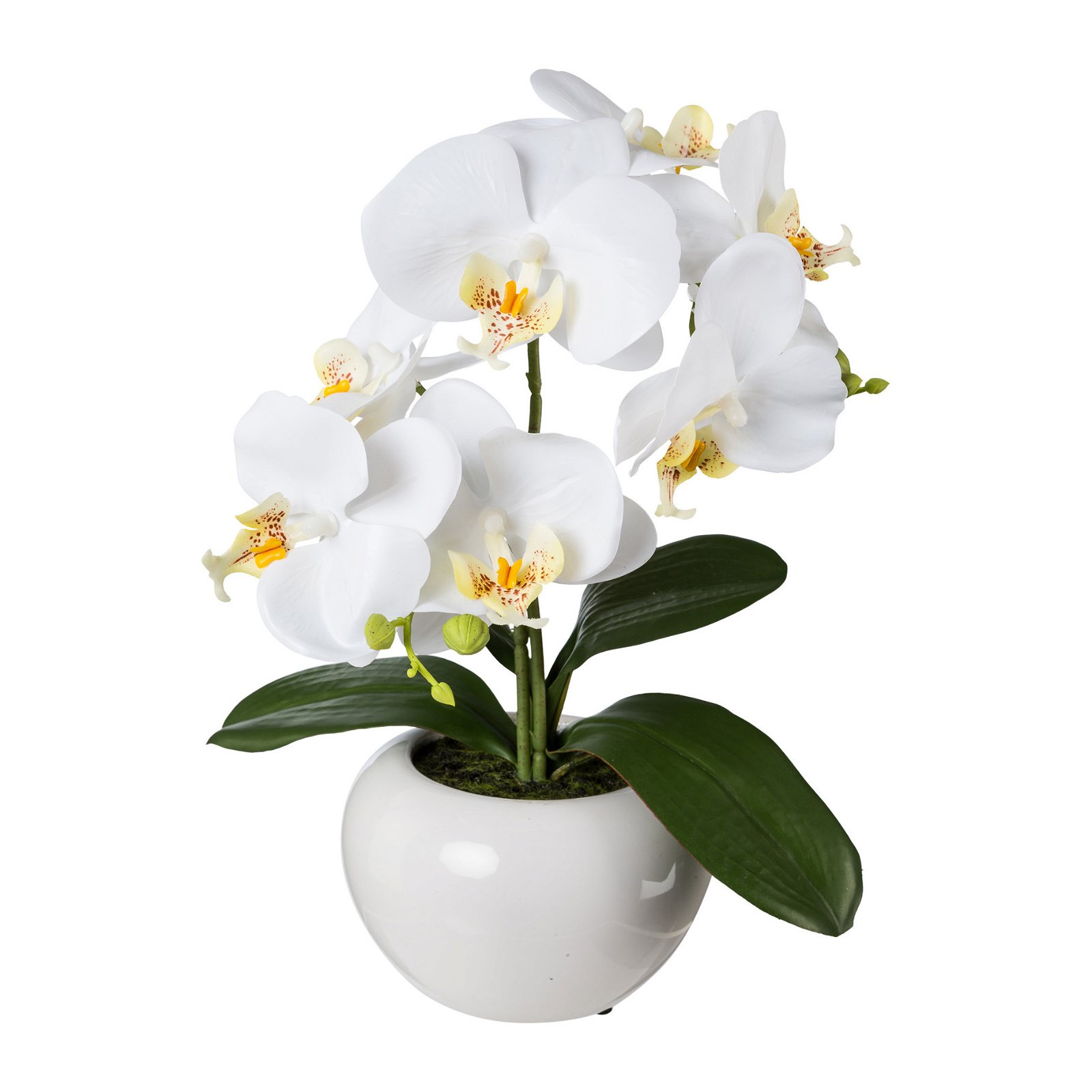 Kunstpflanze Phalaenopsis 'Real Touch', weiß, Topf-Ø 11,5 cm, Höhe ca. 35 cm