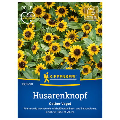 Blumensamen, Husarenköpfchen 'Gelber Vogel'