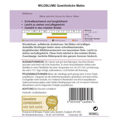 Wildblume Gewöhnliche Malve / mehrjährig, pflegeleicht, üppig Wildblume Gewöhnliche Malve / mehrjährig, pflegeleicht, üppig