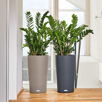 Lechuza 'Cilindro Color 32', sandbraun, ca. Ø 32 x H 56 cm