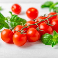 Bio Kirschtomate 'Rubylicious' Topf-Ø 12 cm, 3 Pflanzen