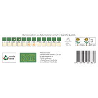 Kölles Beste Blumenknollen, Asiatische Lilie 'Lollypop'