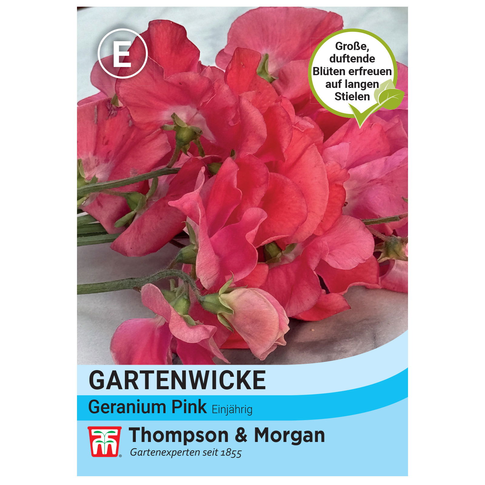 Thompson & Morgan Gartenwicke 'Geranium Pink', lachsrosa