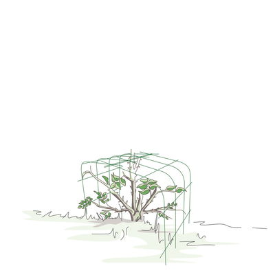 Bellissa Hortensienstütze 'ANNABELLE', 2er-Set, grün, H60 x L65 x L57 cm Bellissa Hortensienstütze 'ANNABELLE', 2er-Set, grün, H60 x L65 x L57 cm