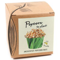 Saatgut Popcorn-Mais, gelb