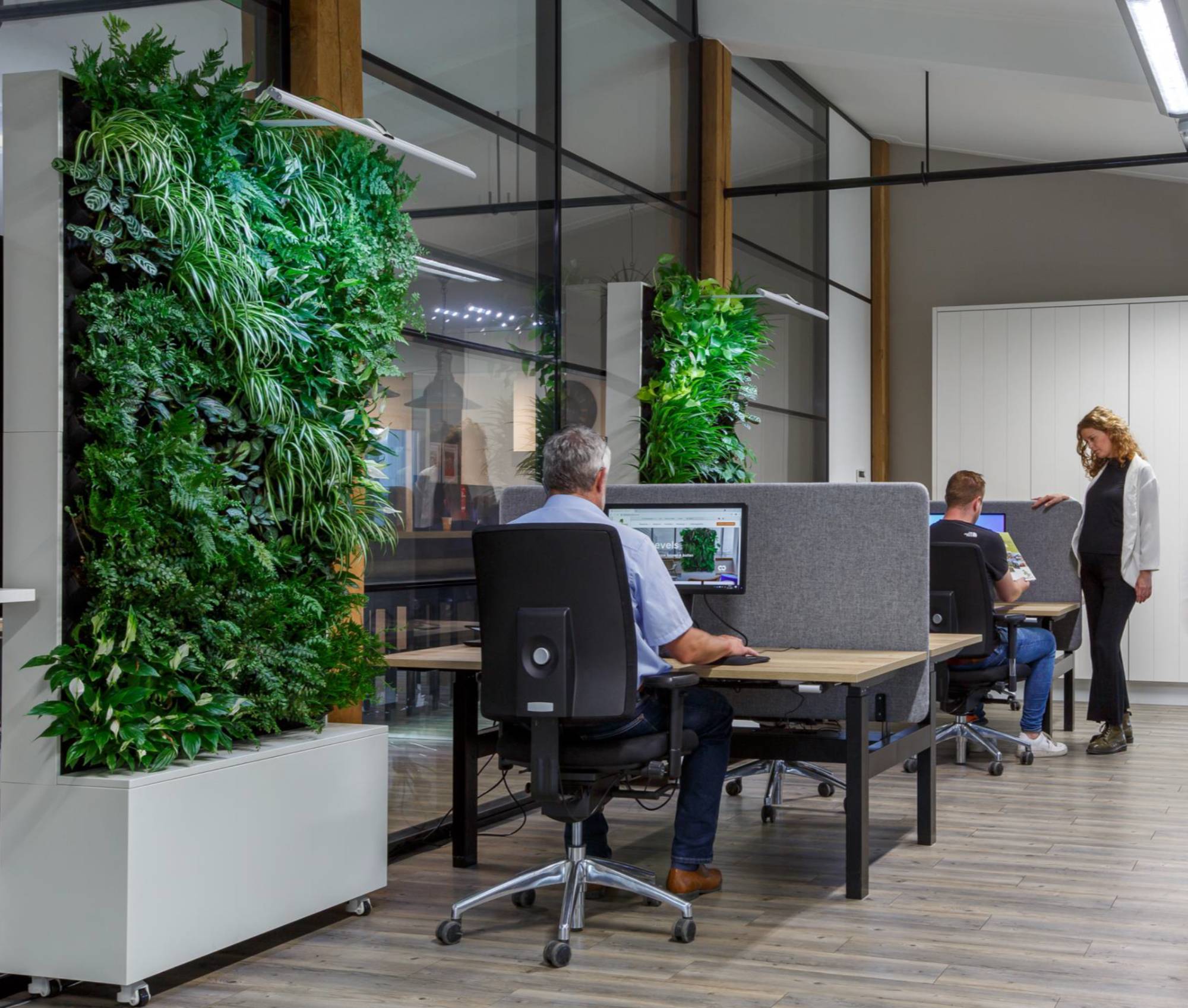 Luftreinigende Raumteiler neben dem Schreibtisch