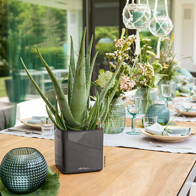 Lechuza 'Cube Glossy 16', anthrazit, ca. 17 x 17 x H 16 cm