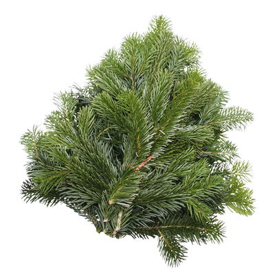 Nordmann- und Nobilis Tannenzweige im Handbund, ca. 2,5 kg, 2 Bund Nordmann- und Nobilis Tannenzweige im Handbund, ca. 2,5 kg, 2 Bund