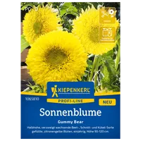Kiepenkerl Saatgut Sonnenblume 'Gummi Bear'