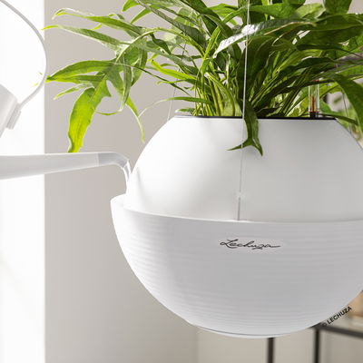 Lechuza 'Bola Color 32', sandbraun, ca. Ø 32 x H 25 cm Lechuza 'Bola Color 32', sandbraun, ca. Ø 32 x H 25 cm