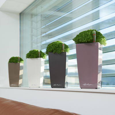 Lechuza 'Mini-Cubi', weiß, ca. 9,5 x 9,5 x H 18,5 cm