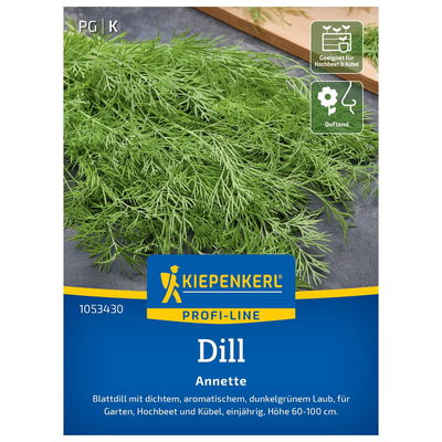 Kiepenkerl Saatgut Dill 'Annette'