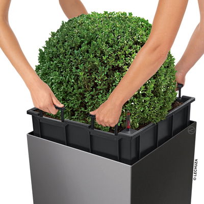 Lechuza 'Cube 50', schwarz, 49 x 49 x H 49,5 cm Lechuza 'Cube 50', schwarz, 49 x 49 x H 49,5 cm