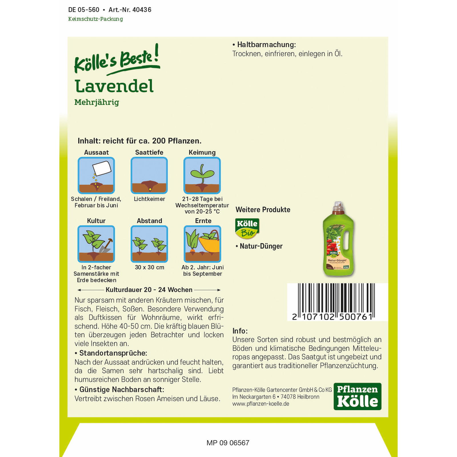 Kölle's Beste Lavendel mehrjährig, 6,25 g