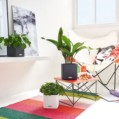 Lechuza 'Cube Color 16', weiß, ca. 17 x 17 x H 16 cm Lechuza 'Cube Color 16', weiß, ca. 17 x 17 x H 16 cm