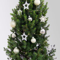 Weihnachtsbäumchen inkl. Deko, silber-weiß, Höhe 120 cm, Topf-Ø 26 cm Weihnachtsbäumchen inkl. Deko, silber-weiß, Höhe 120 cm, Topf-Ø 26 cm