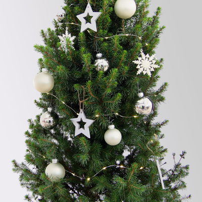 Weihnachtsbäumchen inkl. Deko, silber-weiß, Höhe 120 cm, Topf-Ø 26 cm Weihnachtsbäumchen inkl. Deko, silber-weiß, Höhe 120 cm, Topf-Ø 26 cm